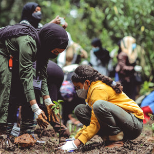 Erdahome.com - our pledge - child plants new plant in forest